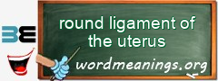WordMeaning blackboard for round ligament of the uterus